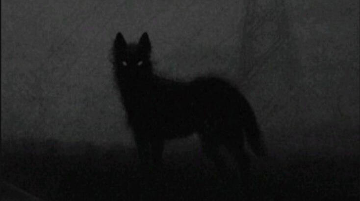 Name — basic info about me.