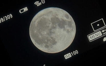 narcissism is the beauty of an inevitable fantasy.